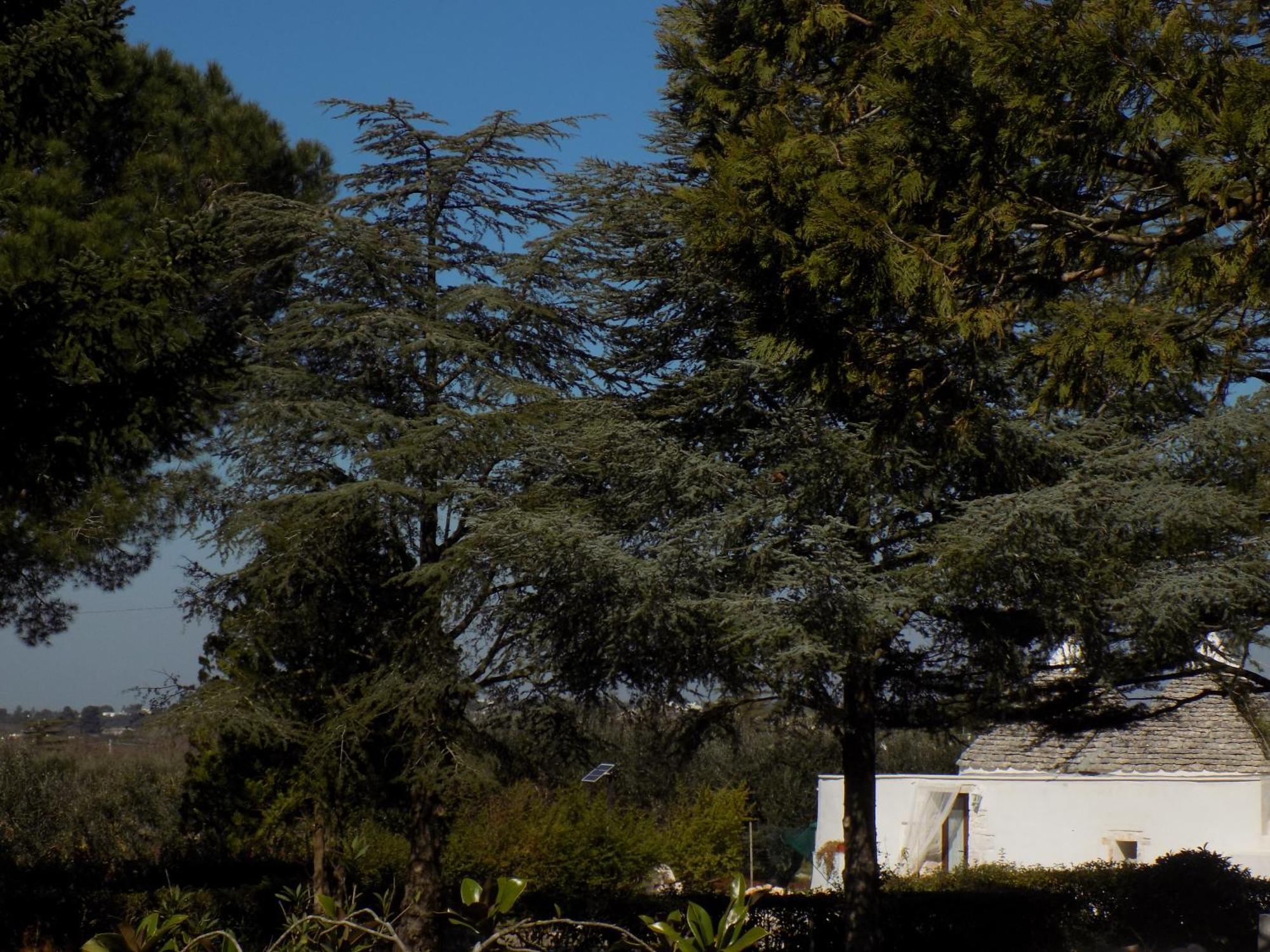 Antica Storia Villa Martina Franca Luaran gambar